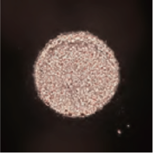 el_vi_01_12.png